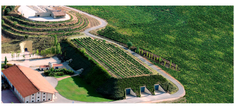 Bodega-Valduero-General-01