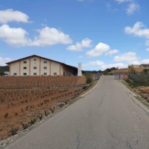 CONDEGA CIGARS AND BODEGAS VALDUERO WINERY