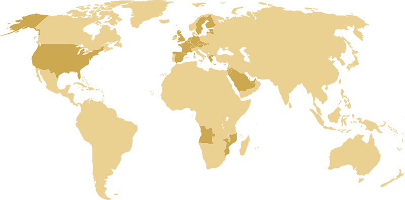 Partners Map Whole World 2019